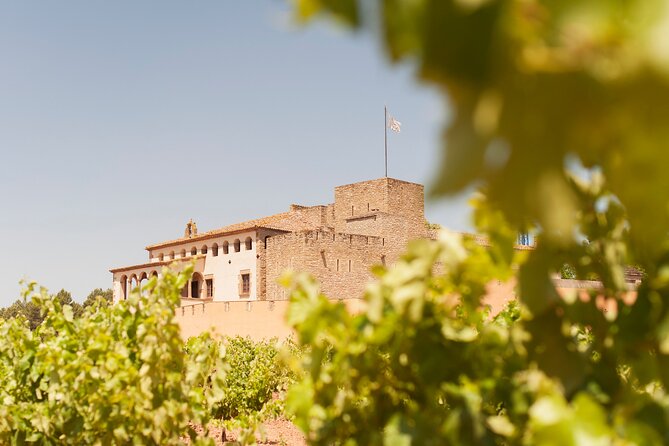 Premium Montserrat & Wine Full Day Tour from Barcelona - Montserrat, a mountain monastery with time to roam