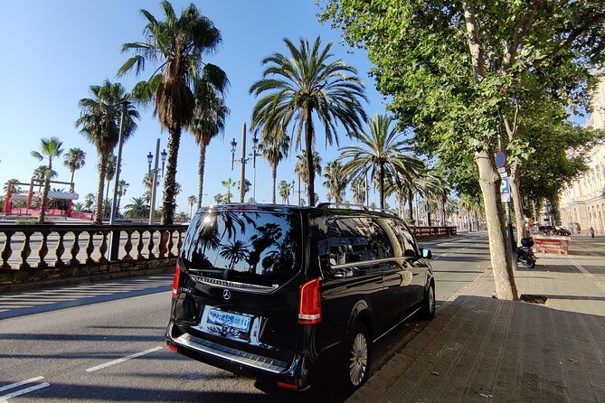 Premium Transfer from / to Airport and Port - Airport to Cruise Port When Your Sailing Time Is Tight