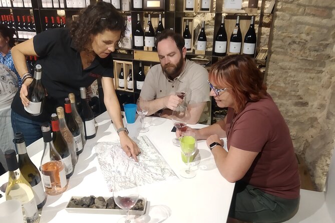 Priorat tour to 3 small wineries and hotel pick-up - A small group makes the wine stops better