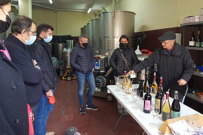 Priorat Wine Tasting Tour from Salou with hotel pickup - Key points to know before booking