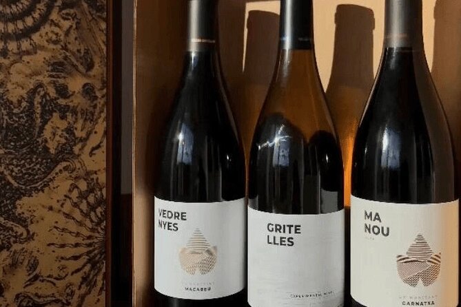 Priorat Wine Tasting Tour from Salou with hotel pickup - What the guides add to the day