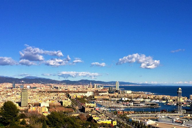 Private Barcelona and Sagrada Familia Tour with Hotel Pick-up - The private vehicle and guide make the schedule work