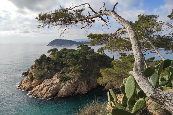 Private Costa Brava Hike and Snorkel from Barcelona with Lunch - The small-minivan advantage
