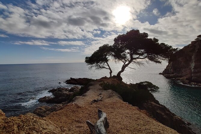 Private Costa Brava Kayak Experience with Snorkel from Barcelona - Paddling past caves, cliffs, and quiet coves