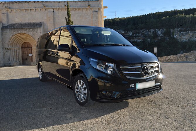 Private Cruise Port to Airport Transfer in Barcelona - Meeting your driver at the terminal