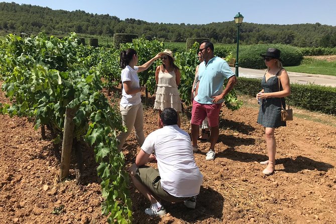 Private Day Trip from Barcelona to Montserrat - Eight hours, flexible stops, and realistic pacing