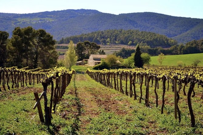 Private Montserrat Tour, Wine Taste & Local Lunch from Barcelona - Is $690.14 Per Person a Good Value?