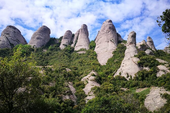 Private Montserrat with Lunch and Wine Tasting from Barcelona - Montserrat’s basilica, chapels, and mountain paths