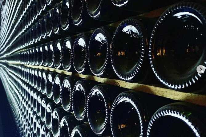 Private Tour: Top Three Organic Wineries & Local Lunch Included - Sant Cugat Sesgarrigues and a Roman-era setting