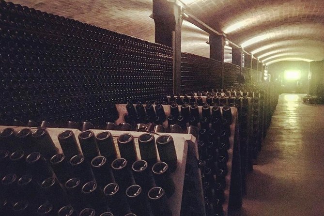 Private Tour: Top Three Organic Wineries & Local Lunch Included - Sant Sadurní d’Anoia and ecological wine