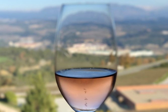 Private Tour: Top Three Organic Wineries & Local Lunch Included - Should you book the Penedès organic winery tour?
