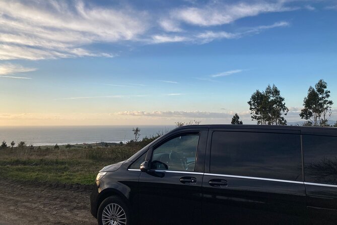 Private Transportation from Granada City to Malaga Airport - Family travel, luggage, and service animals
