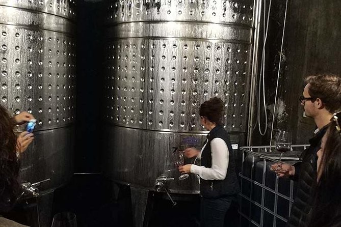 Private Wine & Cava Tasting Tour In Penedes with hotel pick up - Vineyard walking and four local wines near Avinyonet