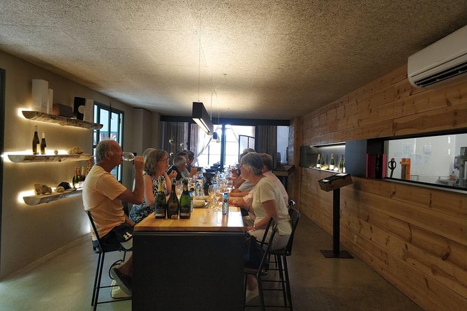 Private Wine & Cava Tasting Tour In Penedes with hotel pick up - What private really means here