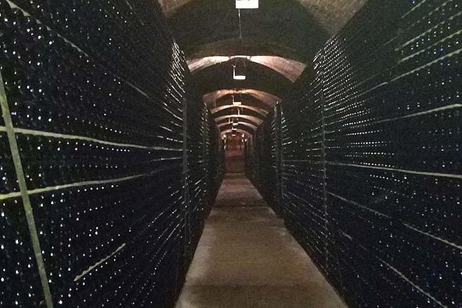 Private Wine & Cava Tasting Tour In Penedes with hotel pick up - The food makes the tasting easier