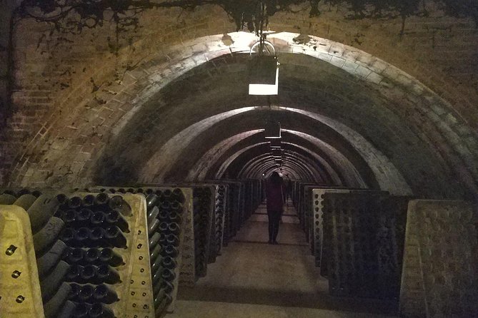 Private Wine & Cava Tasting Tour In Penedes with hotel pick up - Who will enjoy this Penedès day trip?