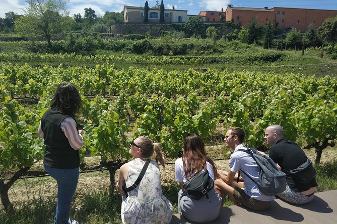 Private Wine & Cava Tasting Tour In Penedes with hotel pick up - Practical booking advice for a smoother day