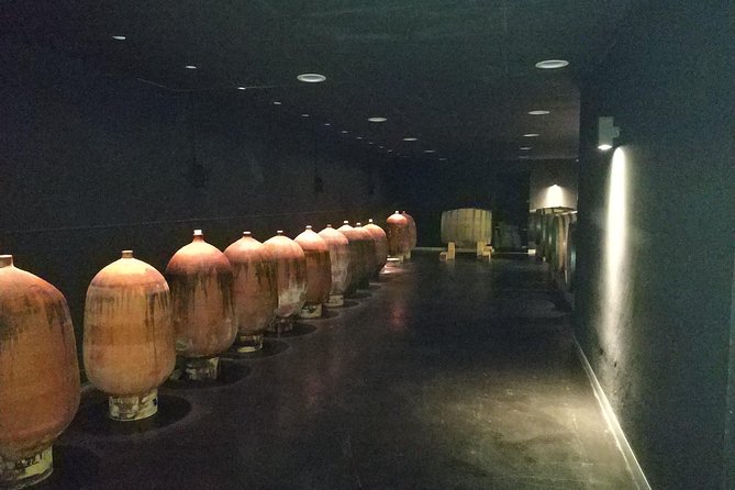 Private Wine & Cava Tasting Tour In Penedes with hotel pick up - Underground cava at Sant Pau d’Ordal