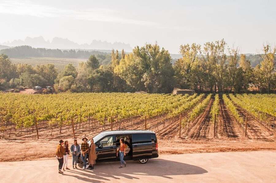 Private Wine, Tapas & Cava Experience from Barcelona - Key points to know before you book