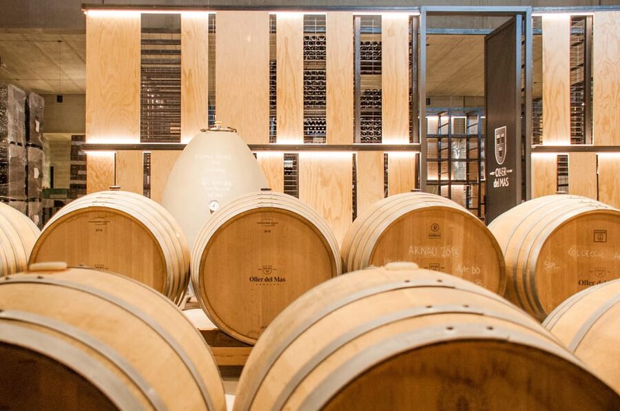 Private Wine, Tapas & Cava Experience from Barcelona - Oller del Mas and its 10th-century castle