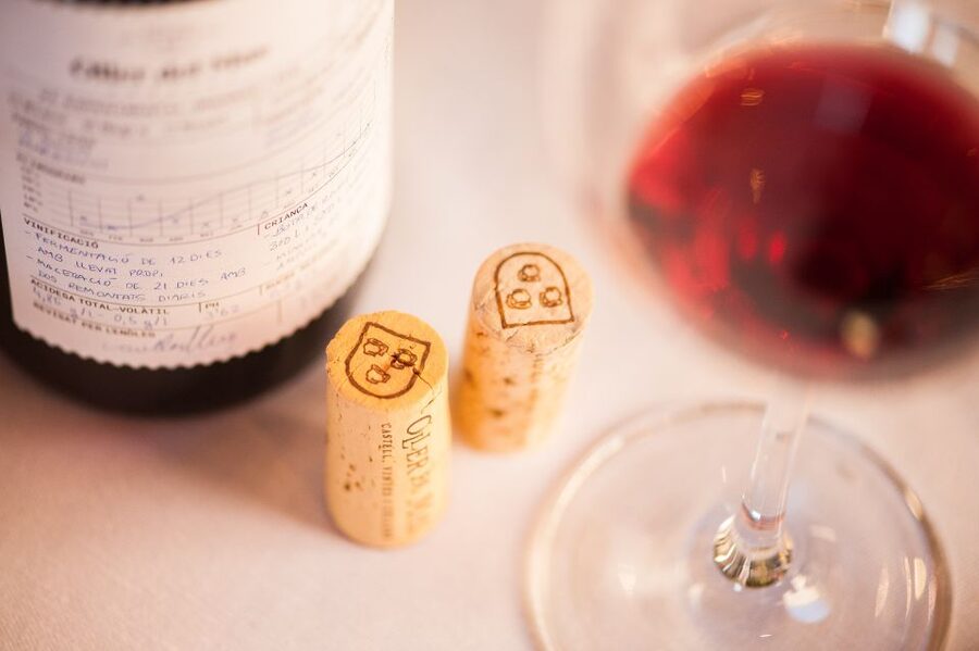 Private Wine, Tapas & Cava Experience from Barcelona - Is $583 per person a fair price?