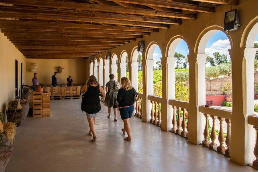 Private Wine, Tapas & Cava Experience from Barcelona - Who should book this Catalan wine day?