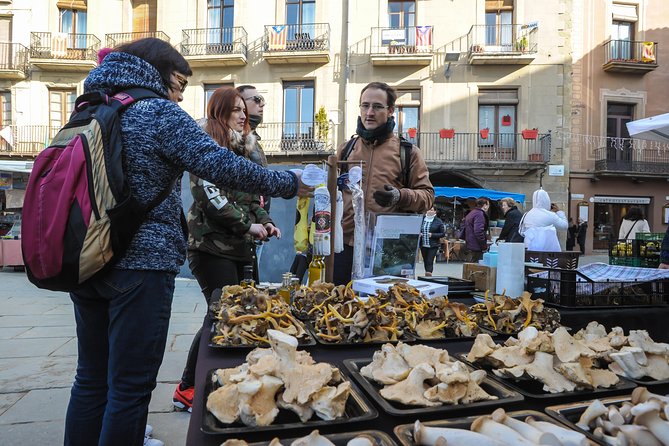 Pyrenees & Medieval Towns Small Group Tour from Barcelona - What the guide adds to a long day