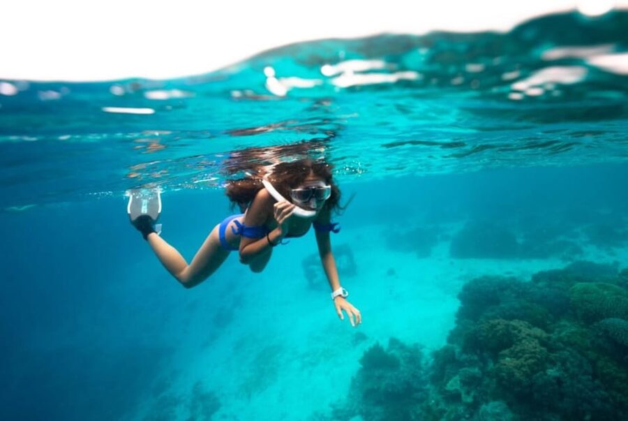 Roses boat trip Special: snorkeling in Cap de Creus - Snorkeling in clear Cap de Creus water