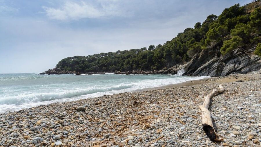 Roses: Cruise to Cala Murtra with Underwater Views - Moving freely around the catamaran
