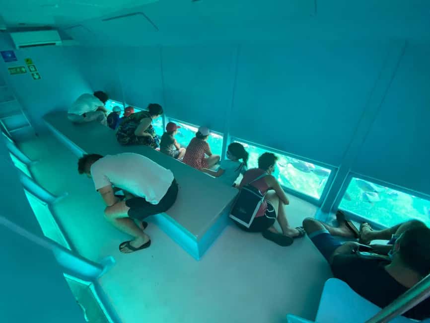 Roses: Cruise to Cala Murtra with Underwater Views - Practical tips for a smoother trip