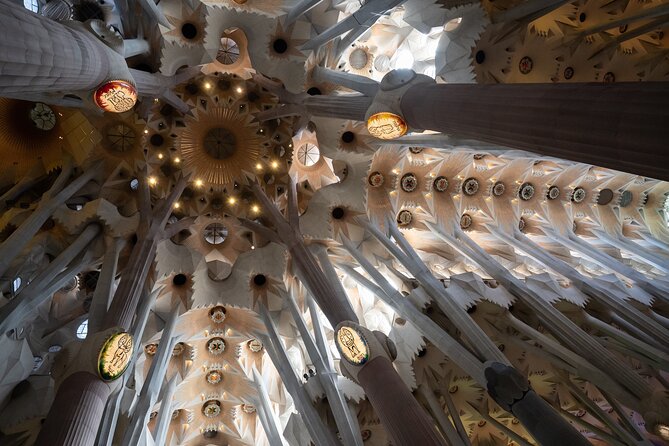 Sagrada Familia and Guell Park Private Tour - Who should book this Barcelona tour?