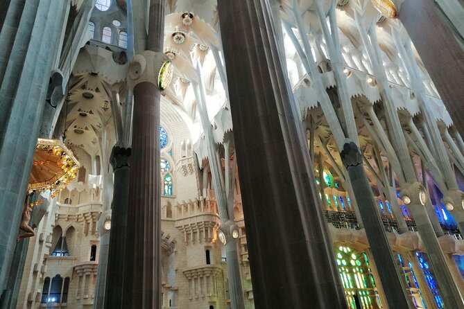 Sagrada Familia and Park Guell Guided Tour with Transport - What the guide adds to the visit
