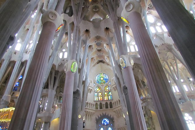 Sagrada Familia Express Private Guided Tour - Why a private guide changes the Sagrada Familia visit