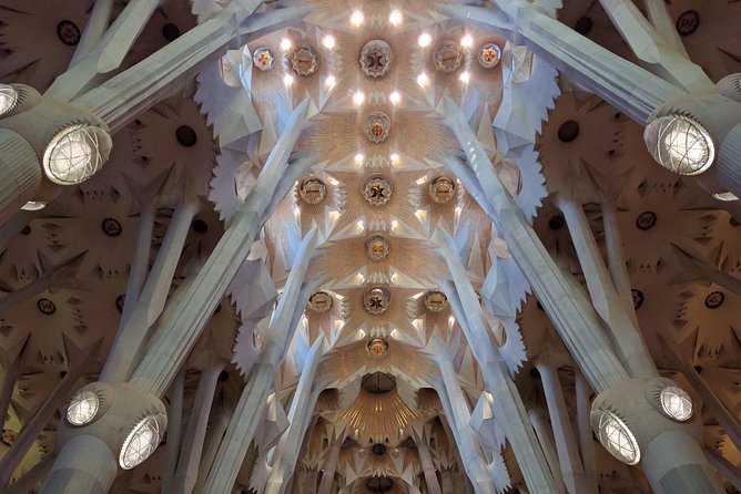 Sagrada Familia Skip-the-Line Private Tour with Guide - Why Sagrada Familia needs a guide