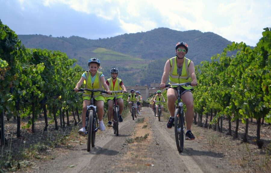 Salou: Easy Bike Tour with Wine Tasting - Who should book this bike and wine outing?
