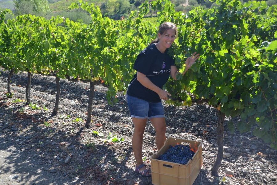 Salou: Easy Bike Tour with Wine Tasting - Should you book it?