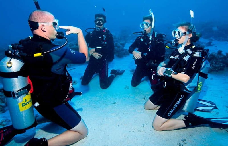 Salou: Fun Scuba Dive with Instructor (No License Needed) - The meeting point depends on the sea