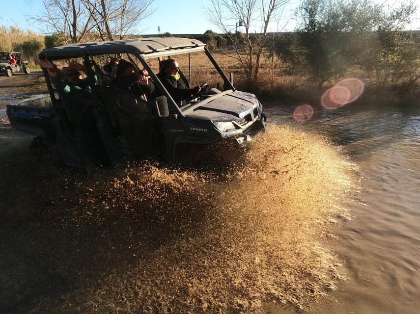 Salou: Kid's Buggy Driving Experience in Safe Environment - Key points before you book
