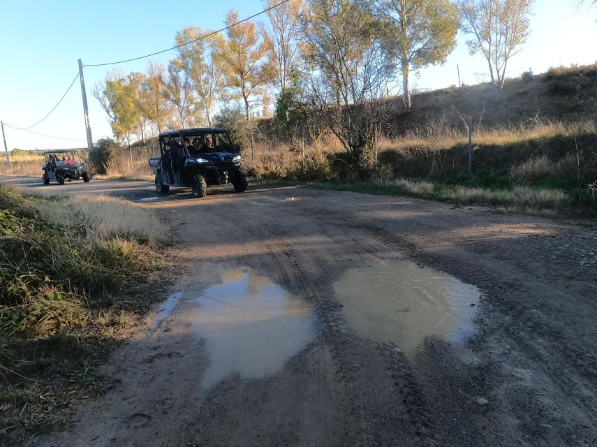 Salou: Kid's Buggy Driving Experience in Safe Environment - My verdict for families in Salou