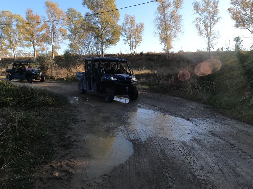 Salou: Kid's Buggy Driving Experience in Safe Environment - Price and the question of shared buggies