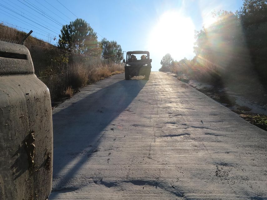 Salou: Kid's Buggy Driving Experience in Safe Environment - Who will enjoy this Salou activity?