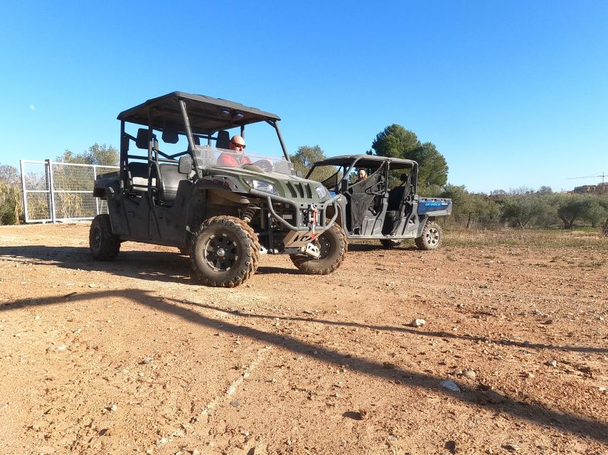 Salou: Kid's Buggy Driving Experience in Safe Environment - Pickup from Salou, Cambrils, and PortAventura