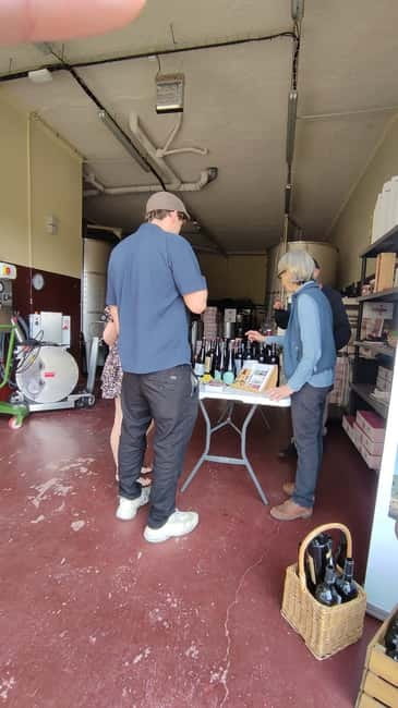 Salou: Priorat tasting Wine-Cellar Tour with hotel pickup - Guides, language, and the feel of the outing