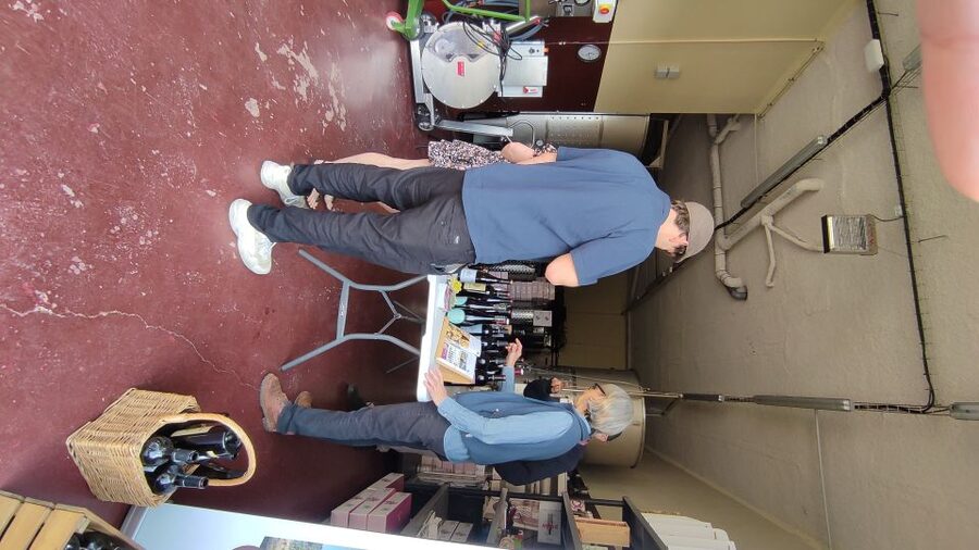Salou: Priorat tasting Wine-Cellar Tour with hotel pickup - Timing, flexibility, and what can change