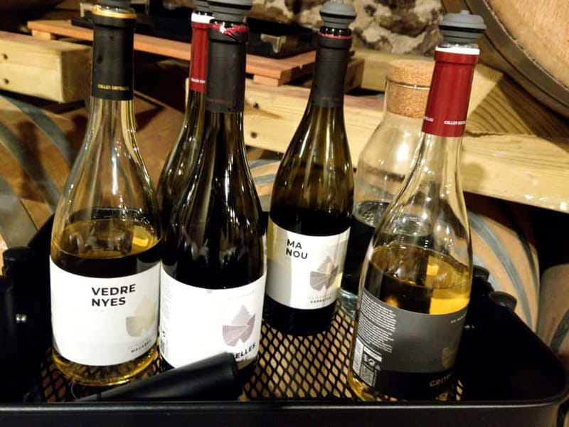 Salou: Priorat tasting Wine-Cellar Tour with hotel pickup - What happens at the Cornudella-area cellar
