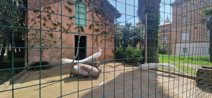 Salou safari: Park Samá with 1 vermouth tasting&hotel Pickup - Is $47 good value for this outing?