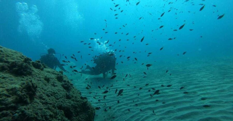 Salou: Scuba Diving for Beginners - Hotel pickup makes the morning simple
