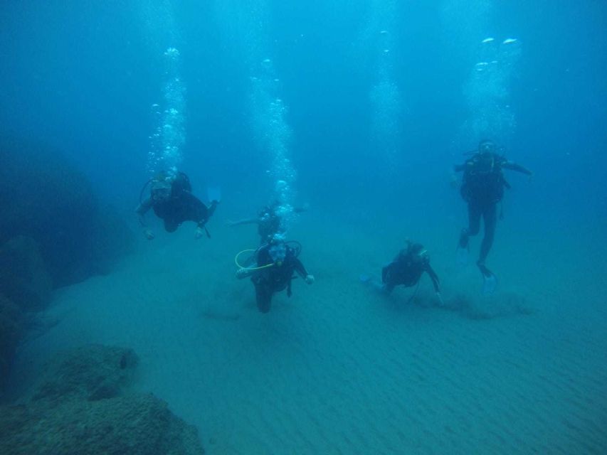 Salou: Scuba Diving for Beginners - Who will enjoy this most?