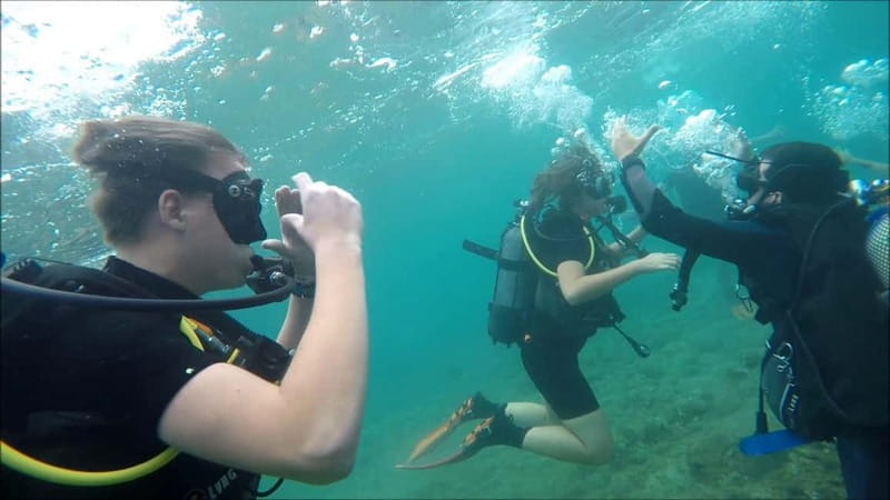 Salou: Scuba Diving for beginners with hotel pickup - Key points before you book