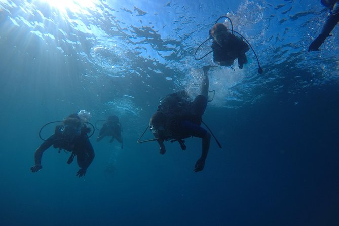Scuba Diving For Beginners - How the 90-minute session works